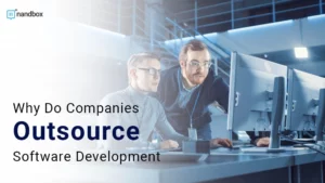 Read more about the article Why Do Companies Outsource Software Development