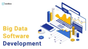 Read more about the article Big Data Software Development