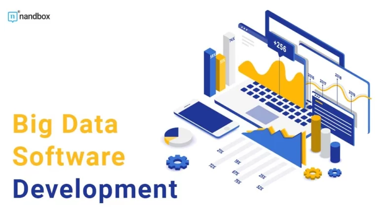 Big Data Software Development