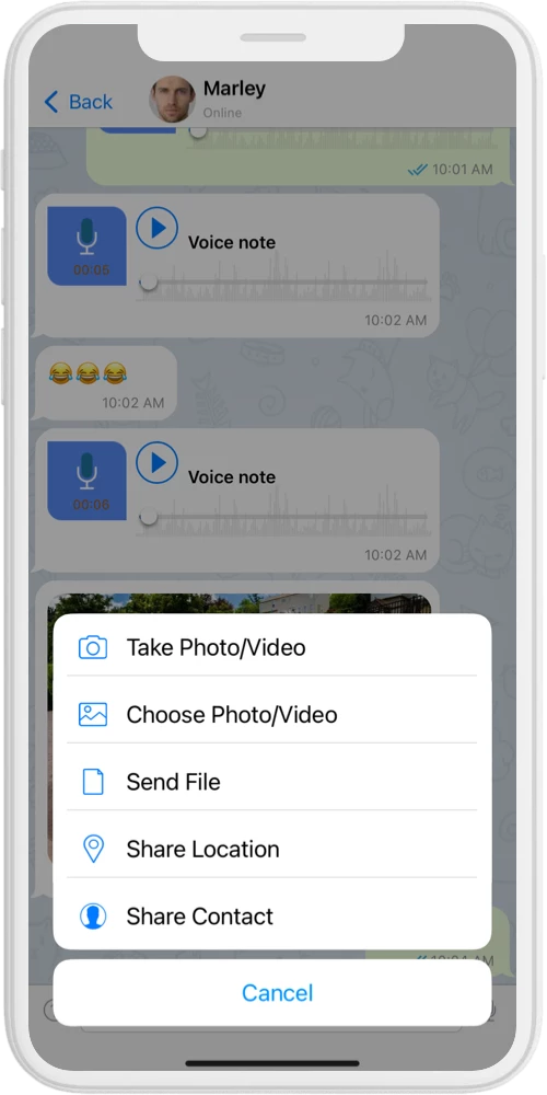 skype chat iOS