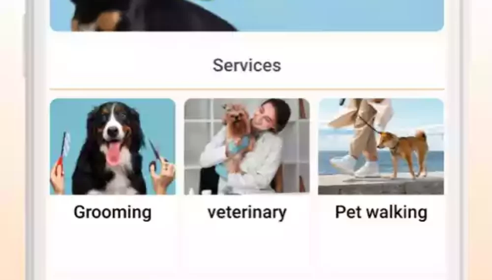 All Templates nandbox nandbox Native App Builder