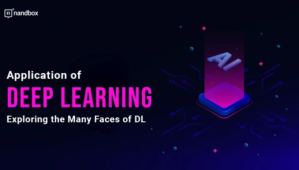 Application of Deep Learning: Exploring the Many Faces of DL