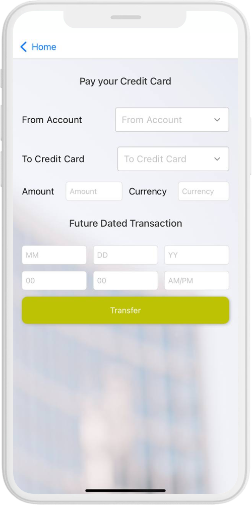 Banking App pay creadit card ios