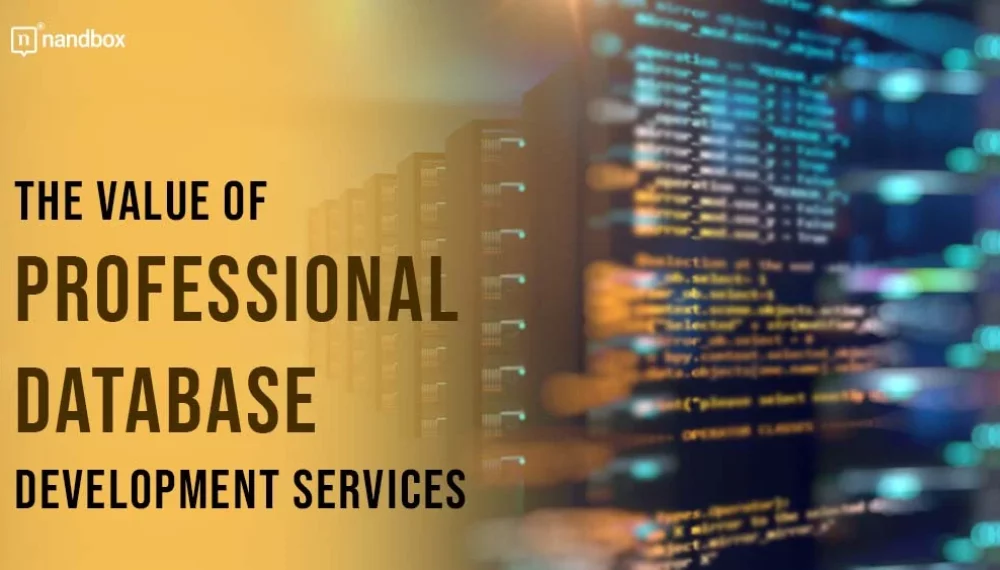 The Value of Professional Database Development Services