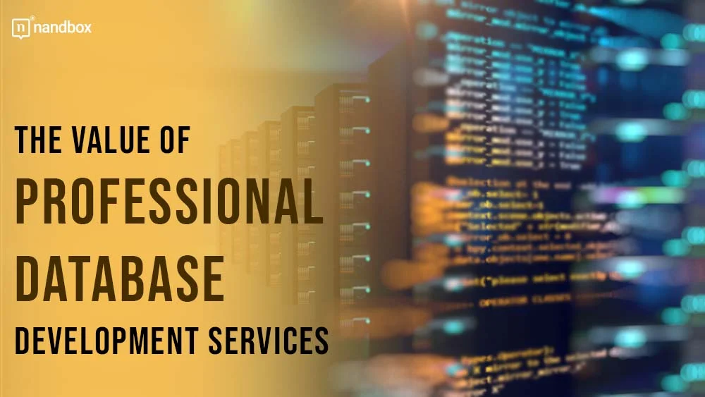 You are currently viewing The Value of Professional Database Development Services