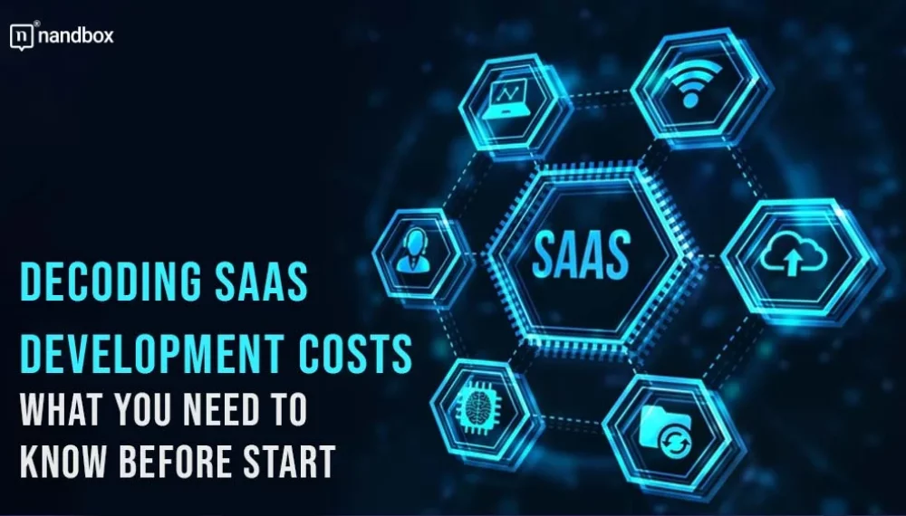 Decoding SaaS Development Costs: What You Need to Know Before Start