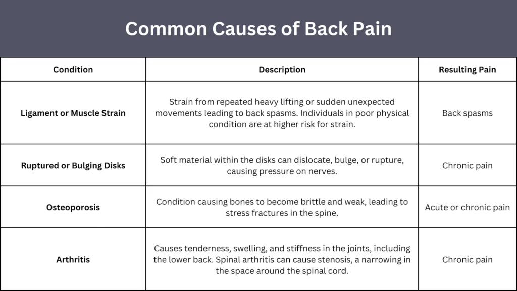 common causes of back pain