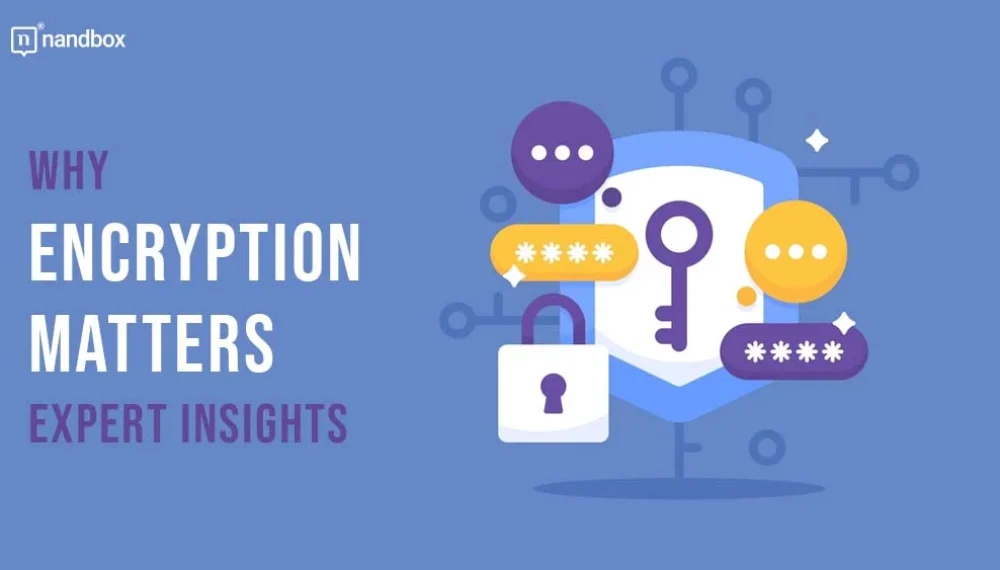 Why Encryption Matters: Expert Insights On Securing Your Digital Assets