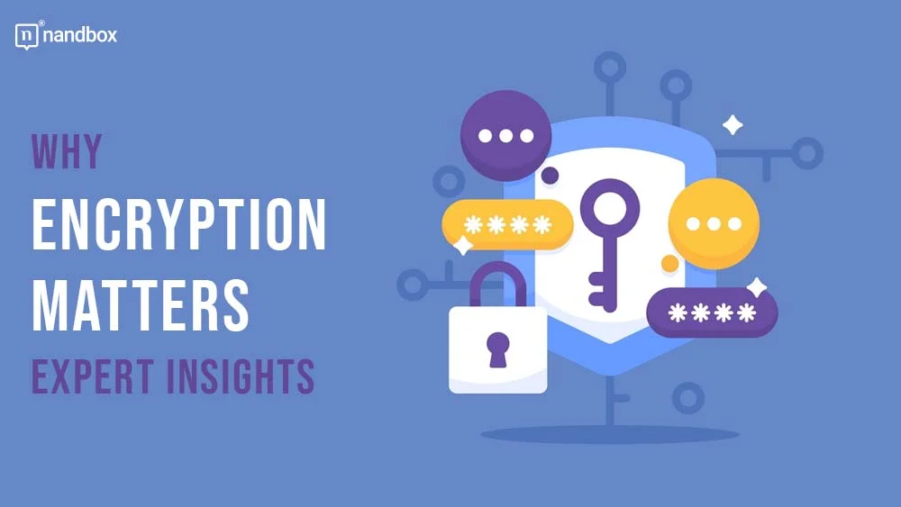 You are currently viewing Why Encryption Matters: Expert Insights On Securing Your Digital Assets