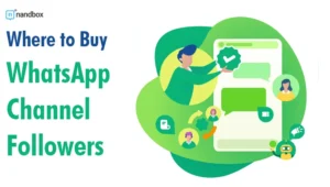 Read more about the article Where to Buy WhatsApp Channel Followers?